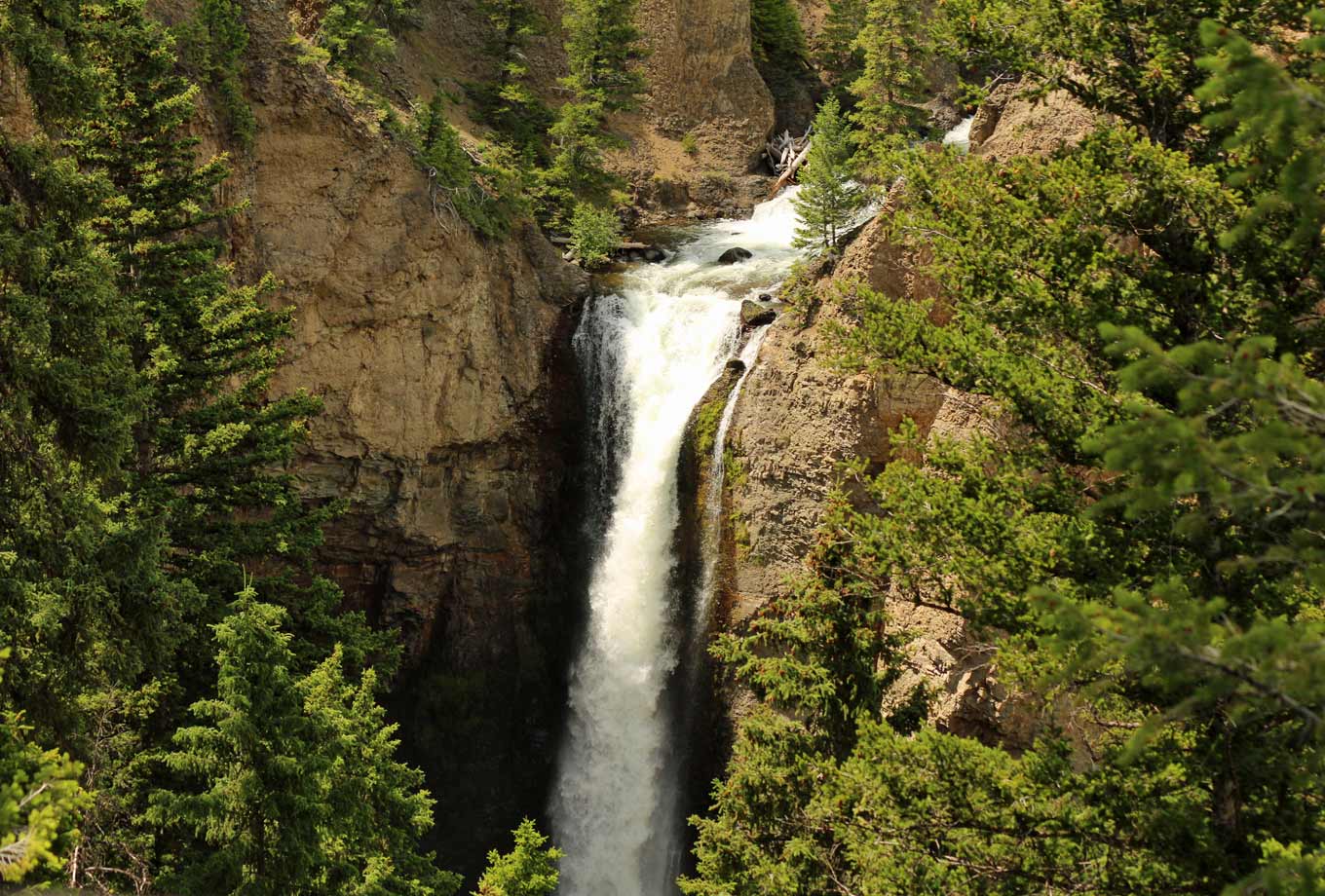 Tower Fall in Yellowstone National Park